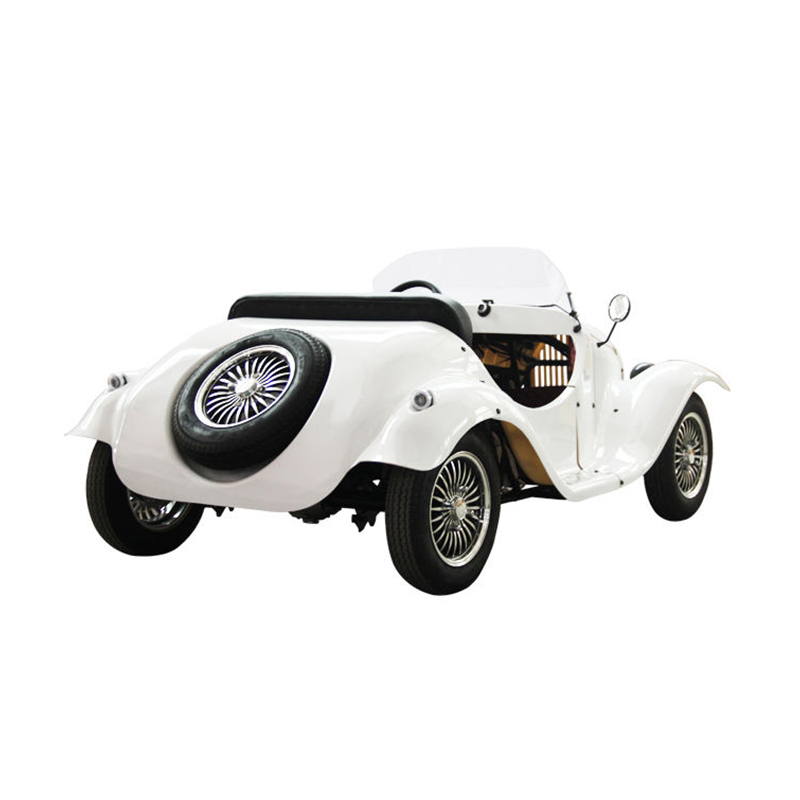 Haley citycoco scooter