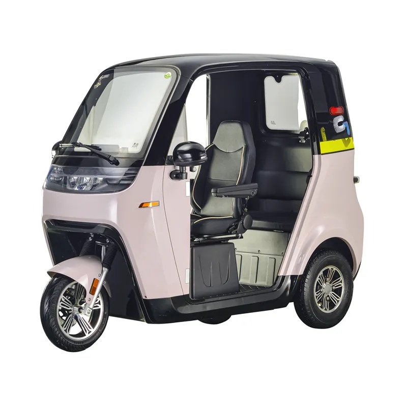 2025 New Energy Three-wheel Electric Tricycle Closed Three-wheel Scooter 60V1500W