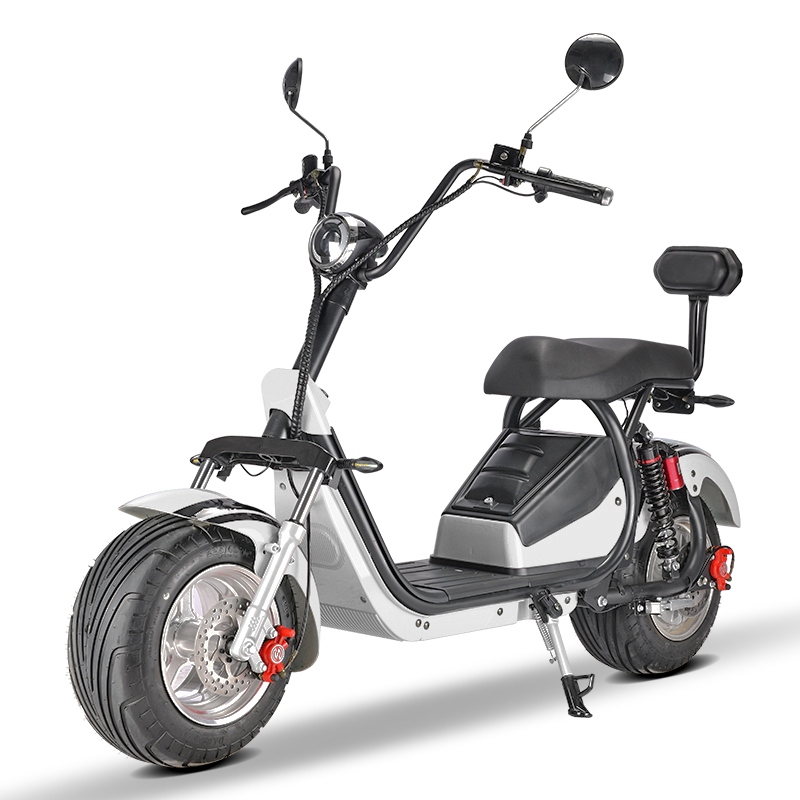 Stylish and  Lightweight Adult Electric Scooter – EEC Certified for Road Safety, Optional Battery Configurations