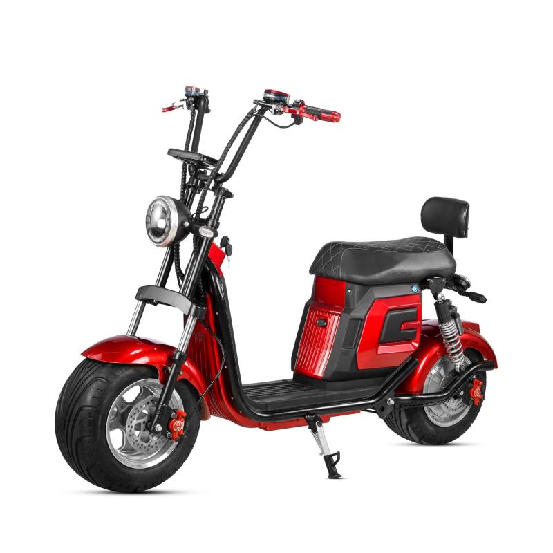 Brazil 10 Inch Vacuum Tire Swipe Meter Two-Wheel Safety Scooter