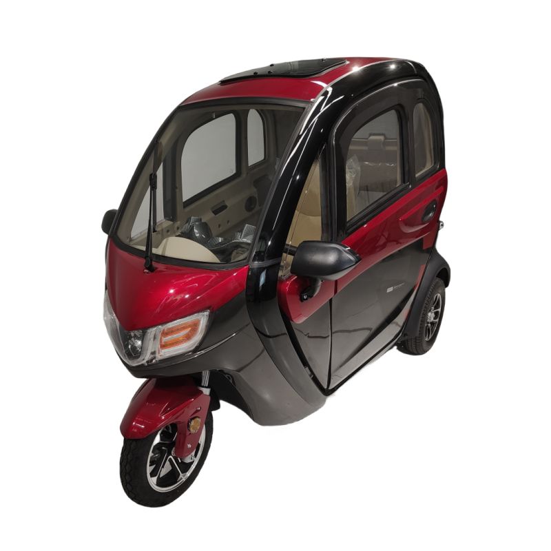 Fully enclosed adult electric scooter 2-3 seats 1000W 60V CE tricycle battery optional
