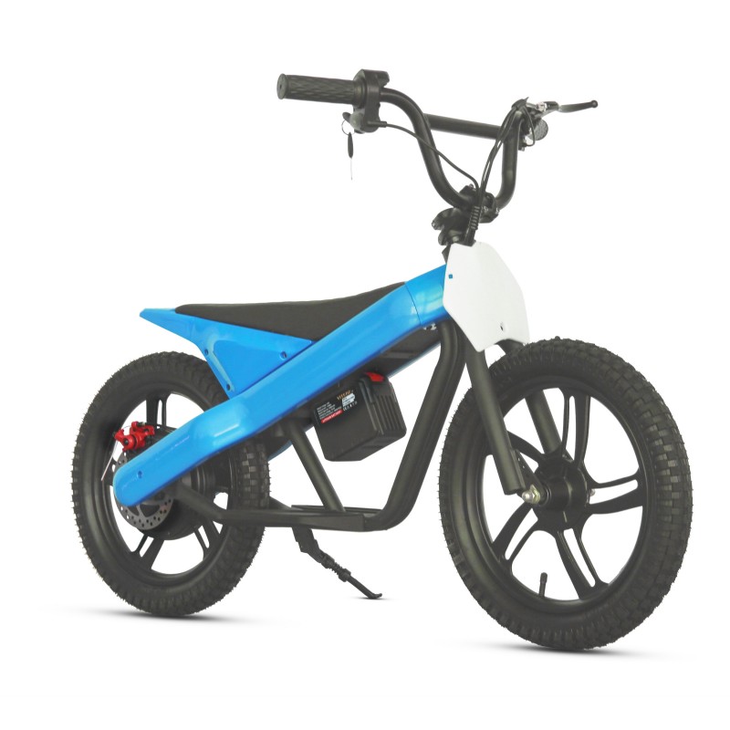 High Quality 300W Children's Mini Motorcycle and Kids' Off-road Electric Scooter