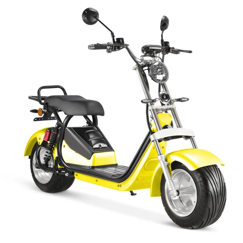 Hot Selling EEC Custom Fashionable Lightweight Motorcycle Adult Electric Scooter