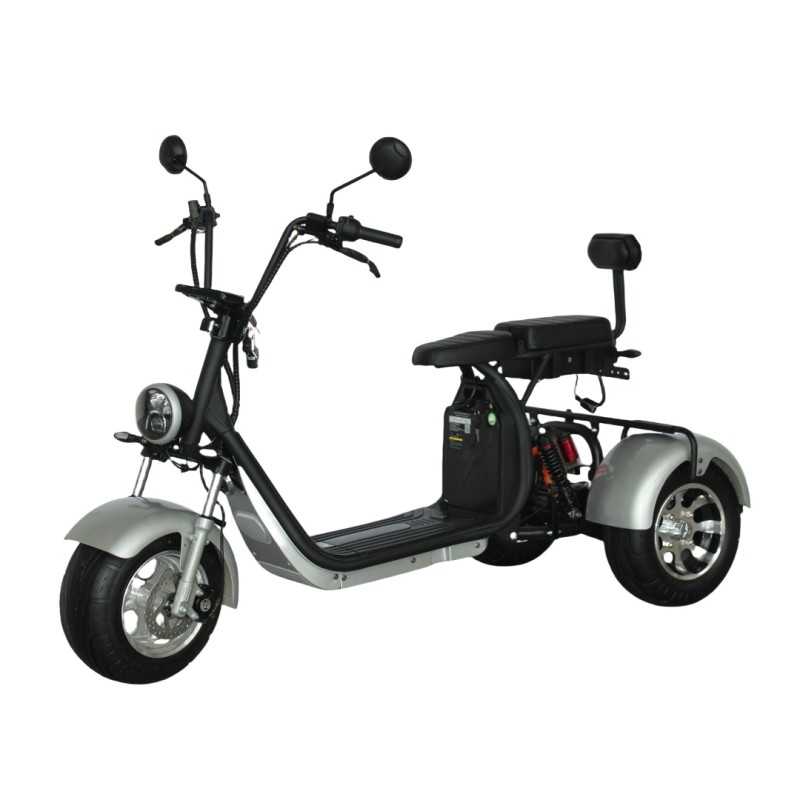 EEC Approved 1500W 2000W Electric Tricycle Sdult 3 Wheel Scooter with 10 Inch Fat Tire