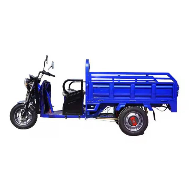 2025 Wholesale EEC Certified Three Wheel 12 Inch with Optional Roof Electric Cargo Vehicle for Loading and Unloading