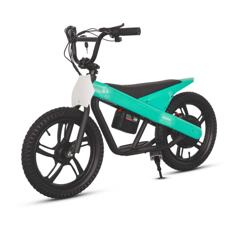 Premium 300W Children's Mini Motorcycle and Kids' Off-road Electric Scooter