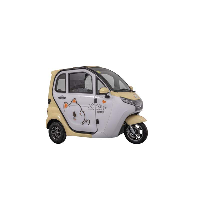 EEC Certified New Fully Enclosed 1500W Electric Three-Wheeled Scooter