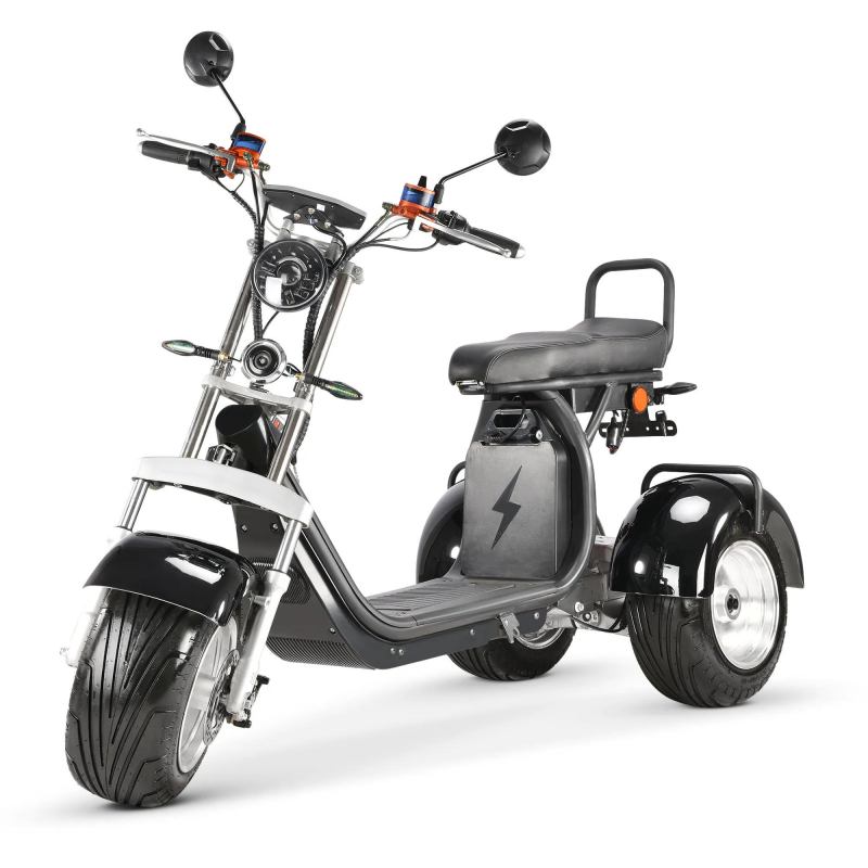 Haley citycoco scooter