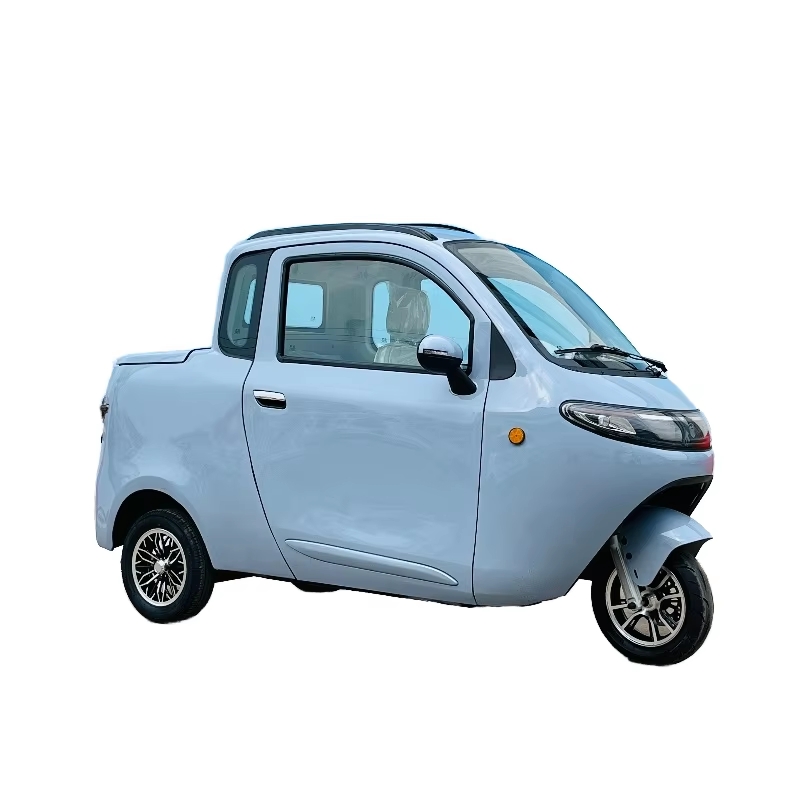 COC certified three seater electric tricycle iron body with trunk