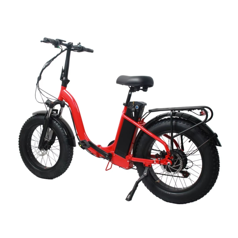 500W New Wide Tire Tandem Electric Bicycle
