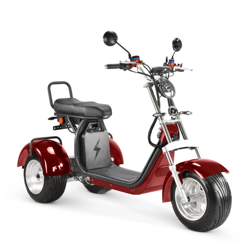 EU EEC 3-Wheel Electronic Motorcycle for Adults Delivery to Door