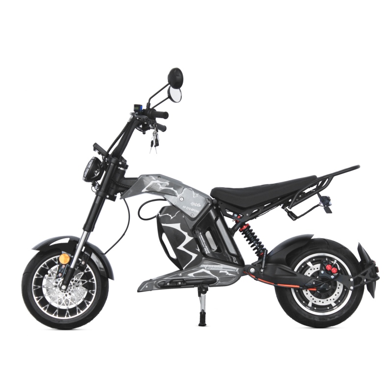 EEC Electric Scooter 2000W 12-Inch Tire Motorcycle