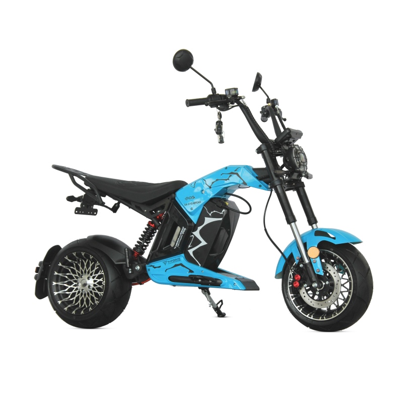 2025 High Power EEC Electric Motorcycle 12-inch Tire for Adult