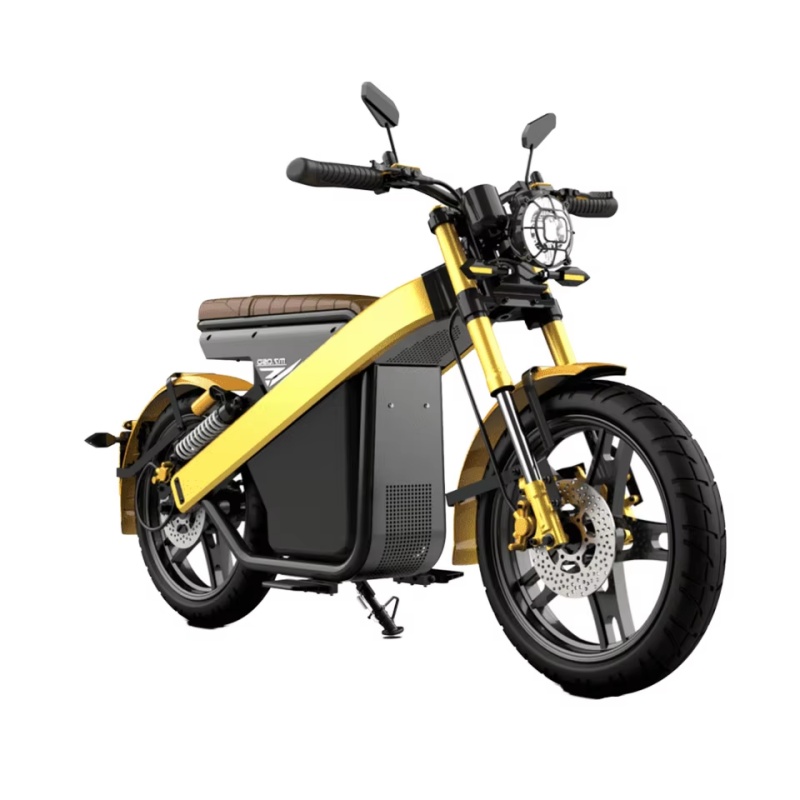 2025 New Front and Rear Disc Brakes EEC Electric Motorbike