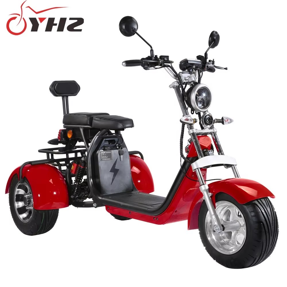 Revolutionize Your European City Travel with Our Tricycle Electric Scooter - The Ultimate Door-to-Door EEC Approved Citycoco