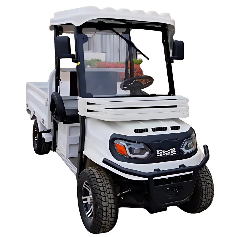 Heavy Duty Electric Cargo Tricycle 60V Lithium Battery Long Range for Transport