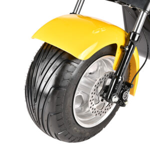 fearure of 2 wheel Citycoco